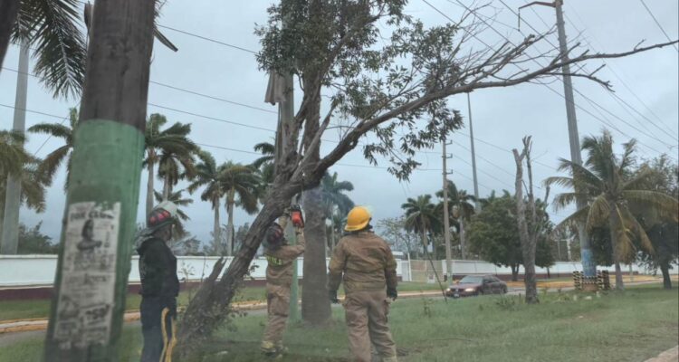 bomberos de ciudad madero