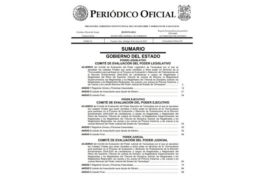 candidatos al poder judicial en tamaulipas