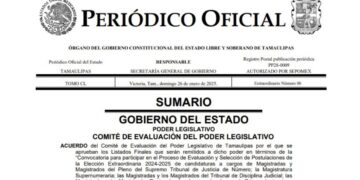 candidatos al poder judicial en tamaulipas