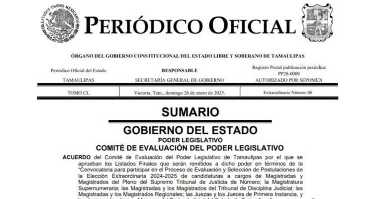candidatos al poder judicial en tamaulipas
