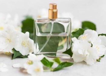 como elegir un perfume