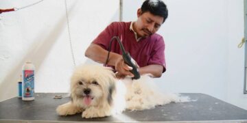 cómo proteger mascotas del frío