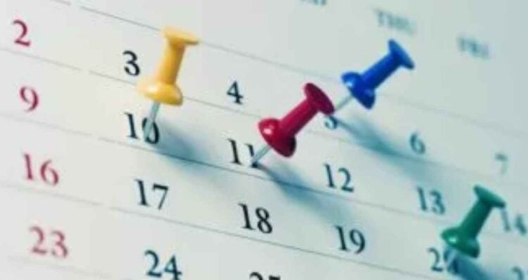 disfrutar días libres 2025