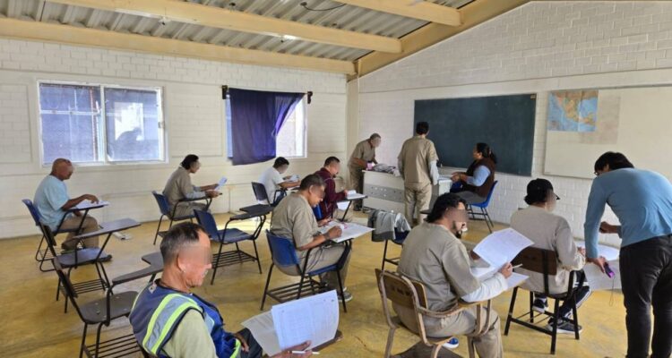 educación en cedes tamaulipas