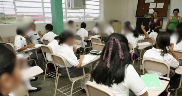 estados alumnos vacaciones