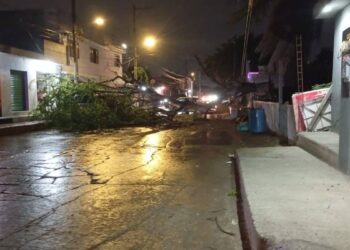 Sin reportes graves por entrada del norte con frente frío 21 en Ciudad Madero