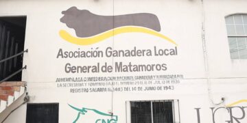 ganado en Matamoros