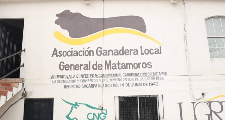 ganado en Matamoros