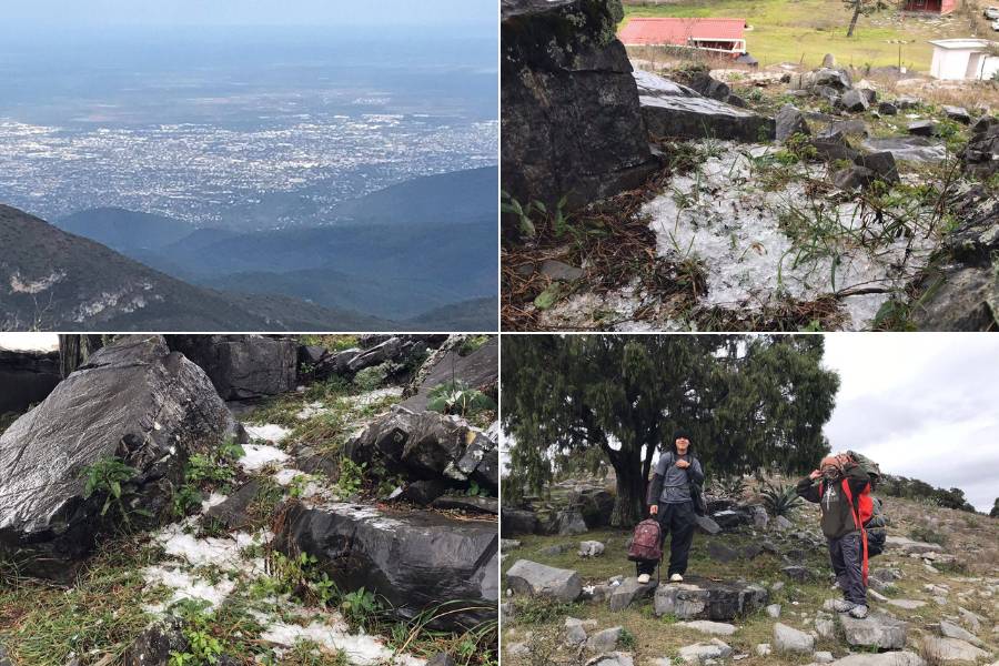 hielo en pino solo en victoria