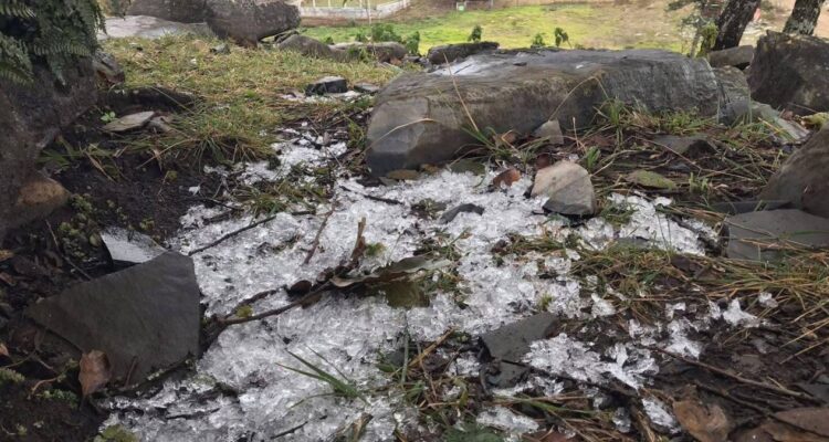 hielo en pino solo en victoria
