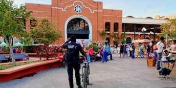 inversión en seguridad pública en tampico