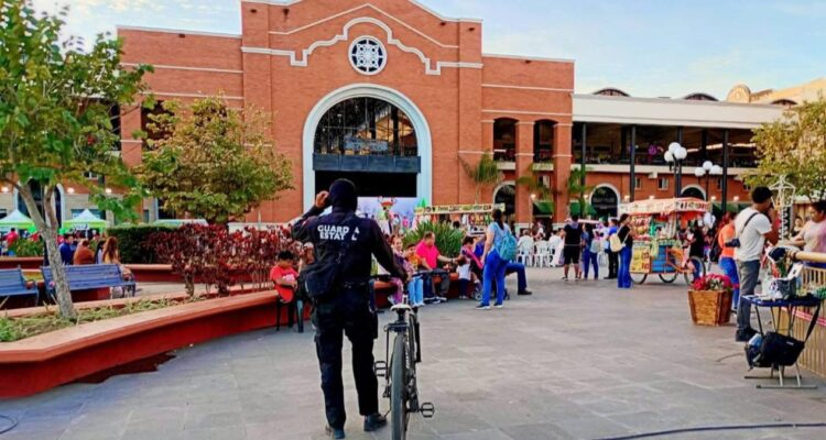 inversión en seguridad pública en tampico