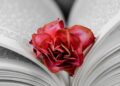 libros romance pdf
