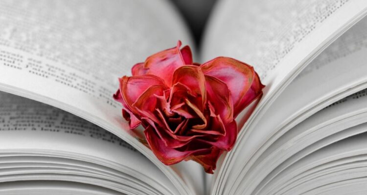 libros romance pdf