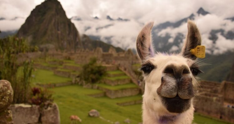 mejores destinos de viaje