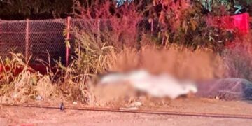 muertos accidente Reynosa