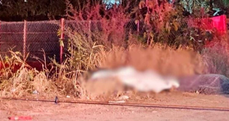 muertos accidente Reynosa