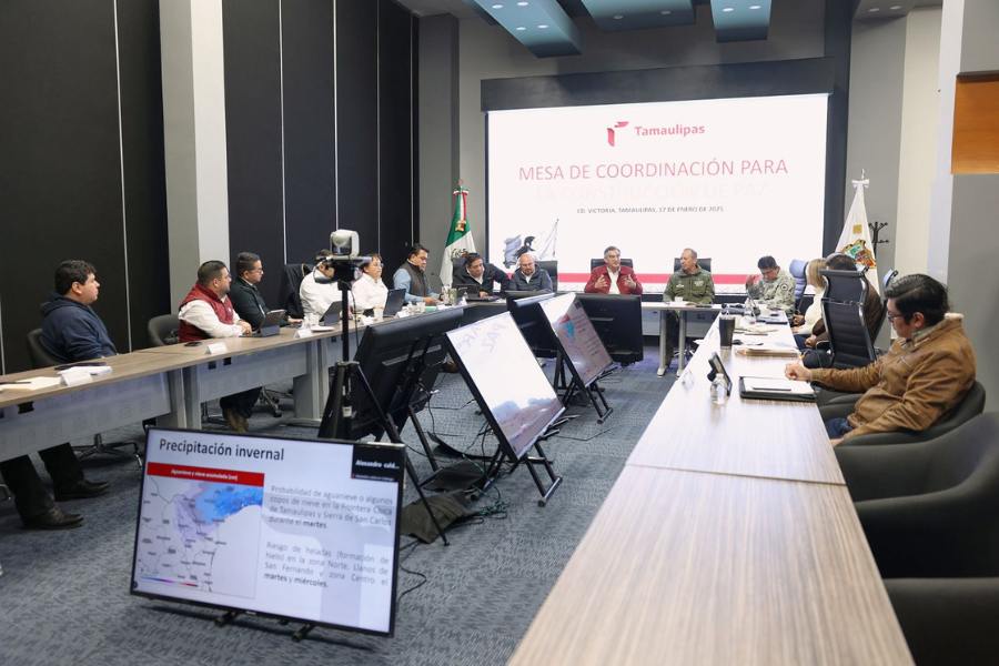 onda gélida en Tamaulipas