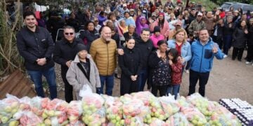 paquetes alimentarios en victoria