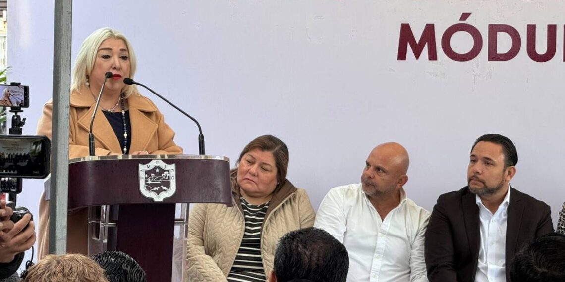 Haz tu trámite de placas a domicilio en Tamaulipas en línea y recíbelas en casa