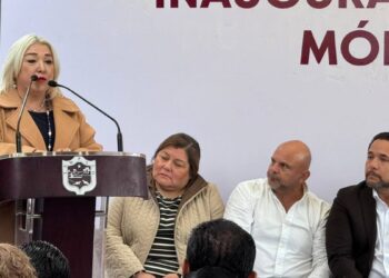Haz tu trámite de placas a domicilio en Tamaulipas en línea y recíbelas en casa
