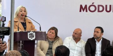 Haz tu trámite de placas a domicilio en Tamaulipas en línea y recíbelas en casa