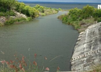 presa vicente guerrero en tamaulipas