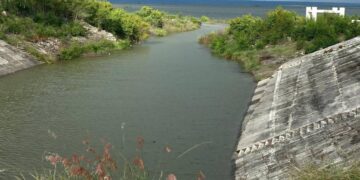 presa vicente guerrero en tamaulipas