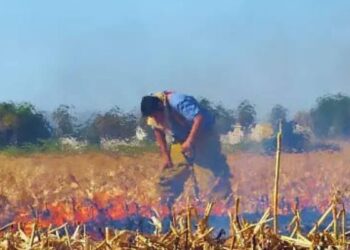 quemas agrícolas en Tamaulipas