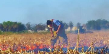 quemas agrícolas en Tamaulipas