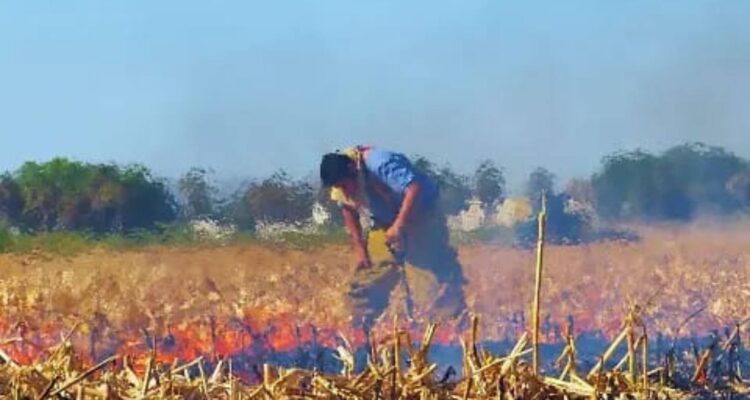 quemas agrícolas en Tamaulipas