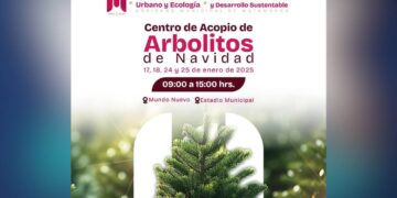 reciclaje de pinos navideños en matamoros