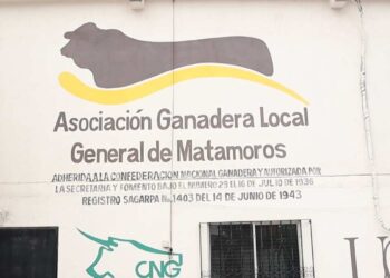 registro de fierros ganaderos en Matamoros