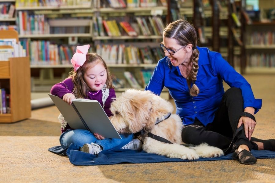 terapia asistida con perros