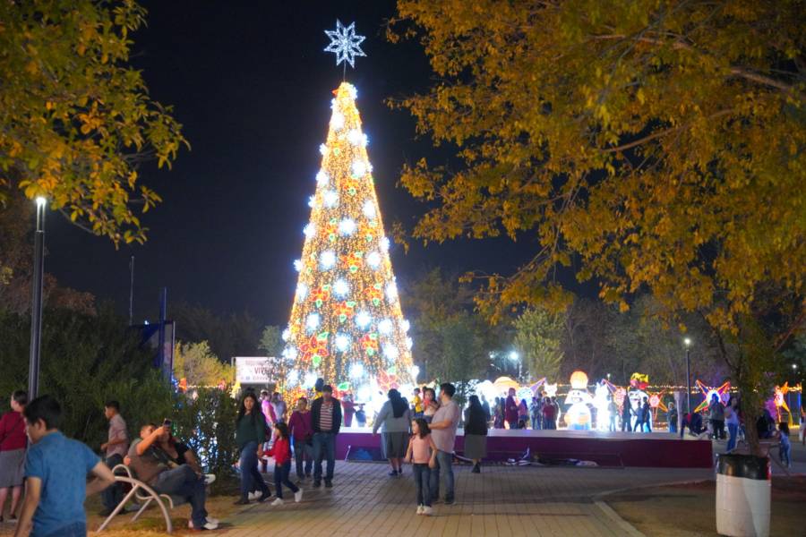 Viveros Mágico en Nuevo Laredo