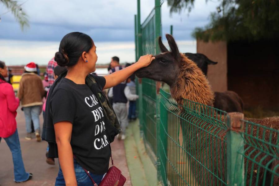 zoológico en nuevo laredo