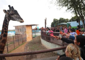 zoológico en nuevo laredo