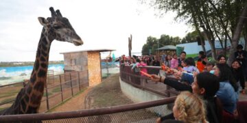 zoológico en nuevo laredo