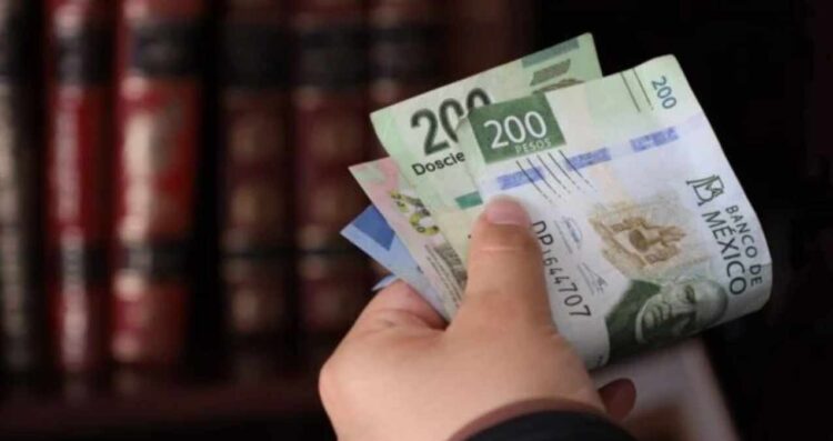 ¿Cómo afecta el ajuste de la UMA a multas y refrendos en Nuevo León?