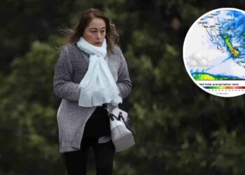 Clima ¿Cuándo terminará el frío que impacta a Tamaulipas?