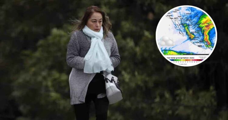 Clima ¿Cuándo terminará el frío que impacta a Tamaulipas?