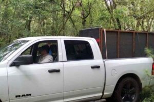 ¿Dónde está el puma La búsqueda continúa ahora en Güémez, Tamaulipas