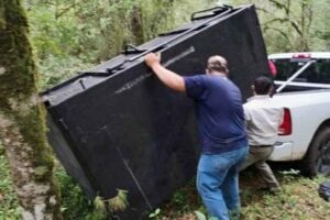 ¿Dónde está el puma La búsqueda continúa ahora en Güémez, Tamaulipas