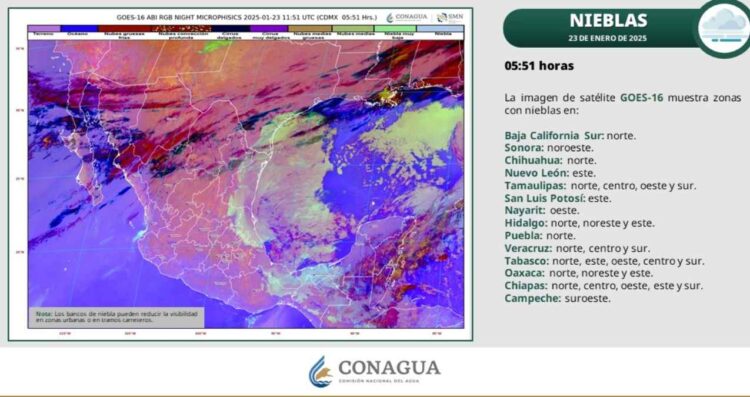 ¿Habrá lluvias fuertes HOY jueves 23 de enero en Tamaulipas?