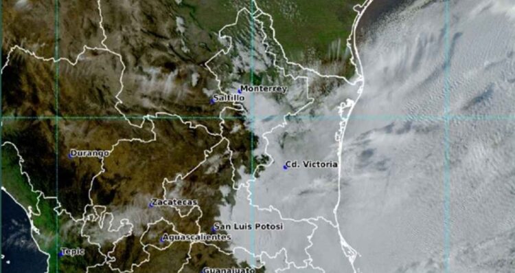 ¿Hará mucho frío Clima en Tamaulipas miércoles 22 de enero