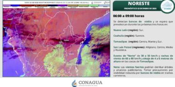 ¿Llegará la temperatura a los 5 grados en Tamaulipas HOY miércoles?
