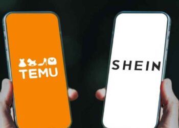 ¿Por qué Shein y Temu solicitan CURP y RFC para compras en línea en México