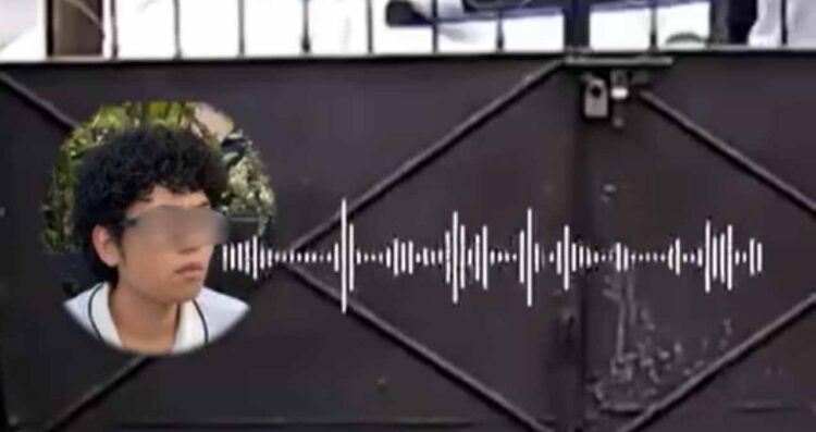 Caso bebé abandonado: AUDIOS que Lucio "N" envió a su madre