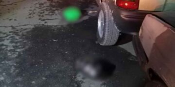 Abandonan cabeza humana en plena vía pública en Jaltenco, Estado de México