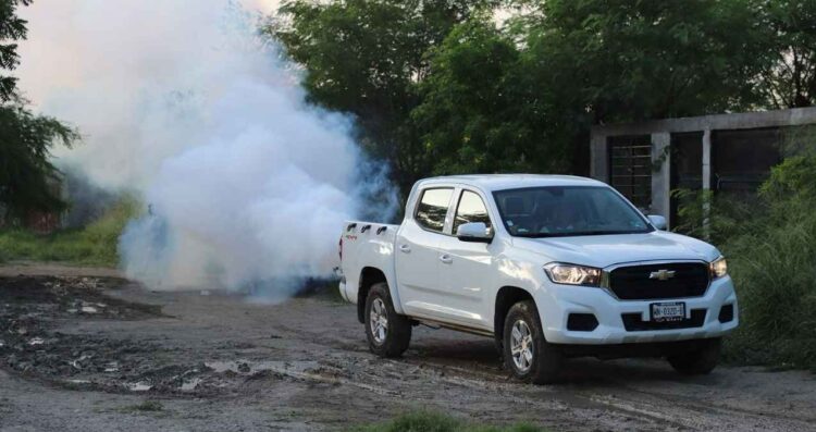Anuncian fumigación masiva contra el dengue en Tampico y Ciudad Madero para reducir casos